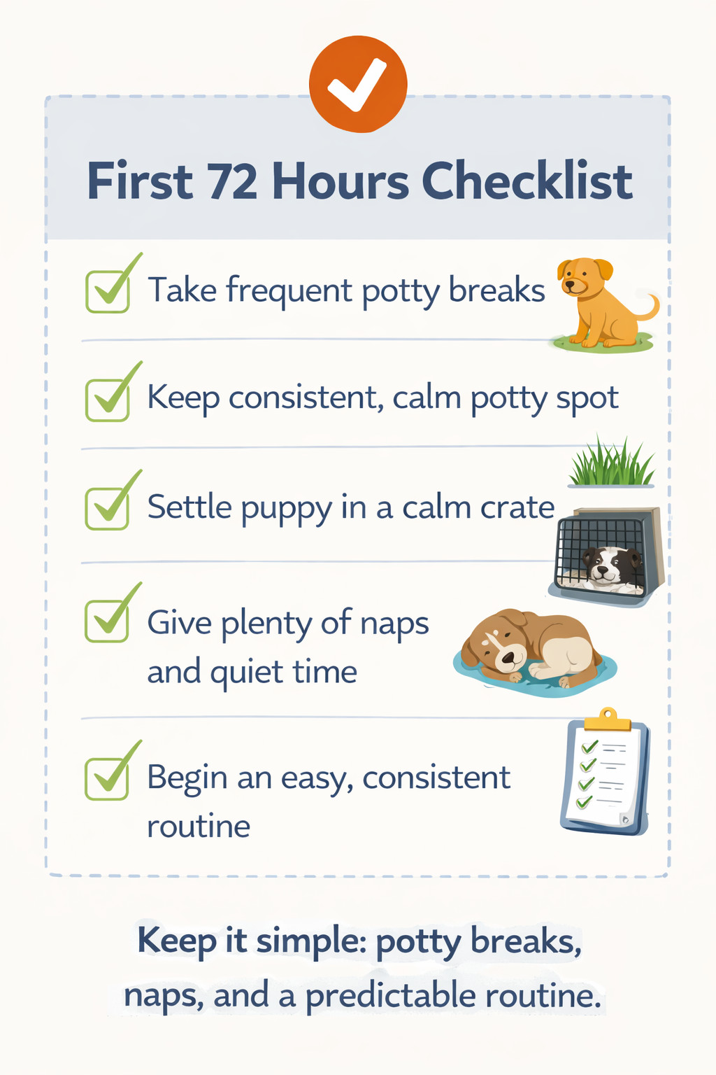 First 72 Hours Checklist for bringing home a new puppy